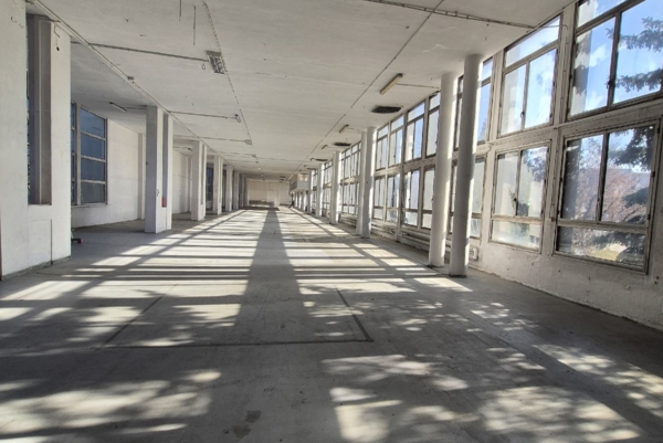 Długi, pusty korytarz w stylu industrialnym, sfotografowany z perspektywy zbieżnej. Po obu stronach ciągną się rzędy białych, cylindrycznych kolumn. Przez liczne, duże okna po prawej stronie wpada intensywne światło słoneczne, tworząc na surowej betonowej posadzce dramatyczną siatkę geometrycznych pasków cienia. Sufit jest biały, z widoczną instalacją i kratką wentylacyjną. Pomieszczenie jest surowe, jasne i wydaje się opuszczone. W oddali widać koniec korytarza.